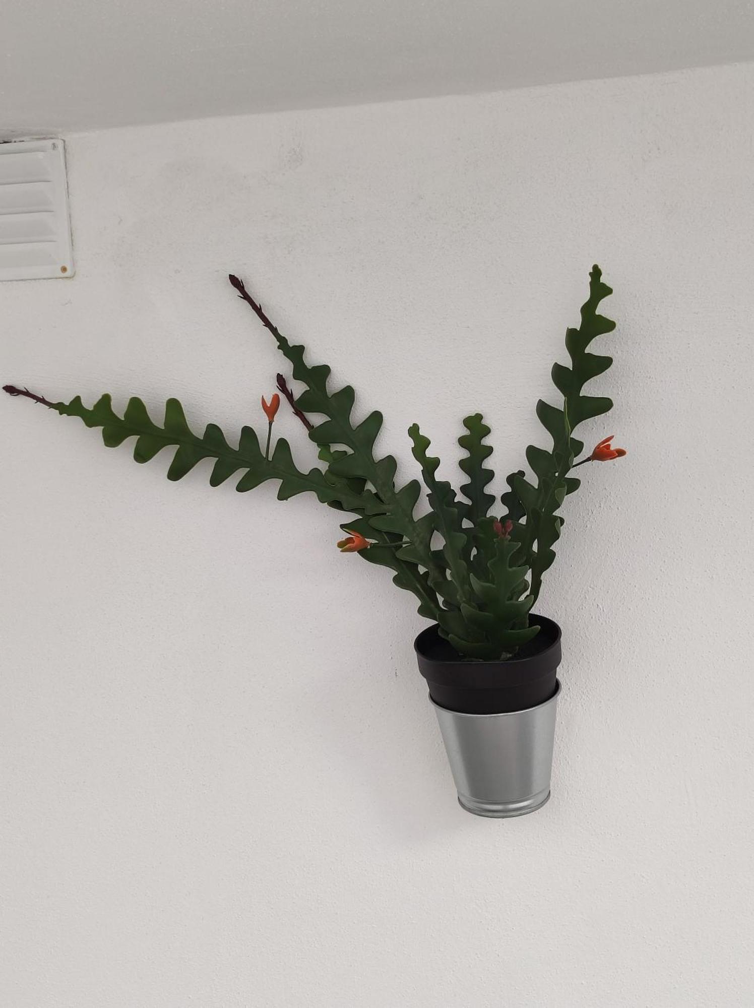 Divine Room 法鲁区 外观 照片