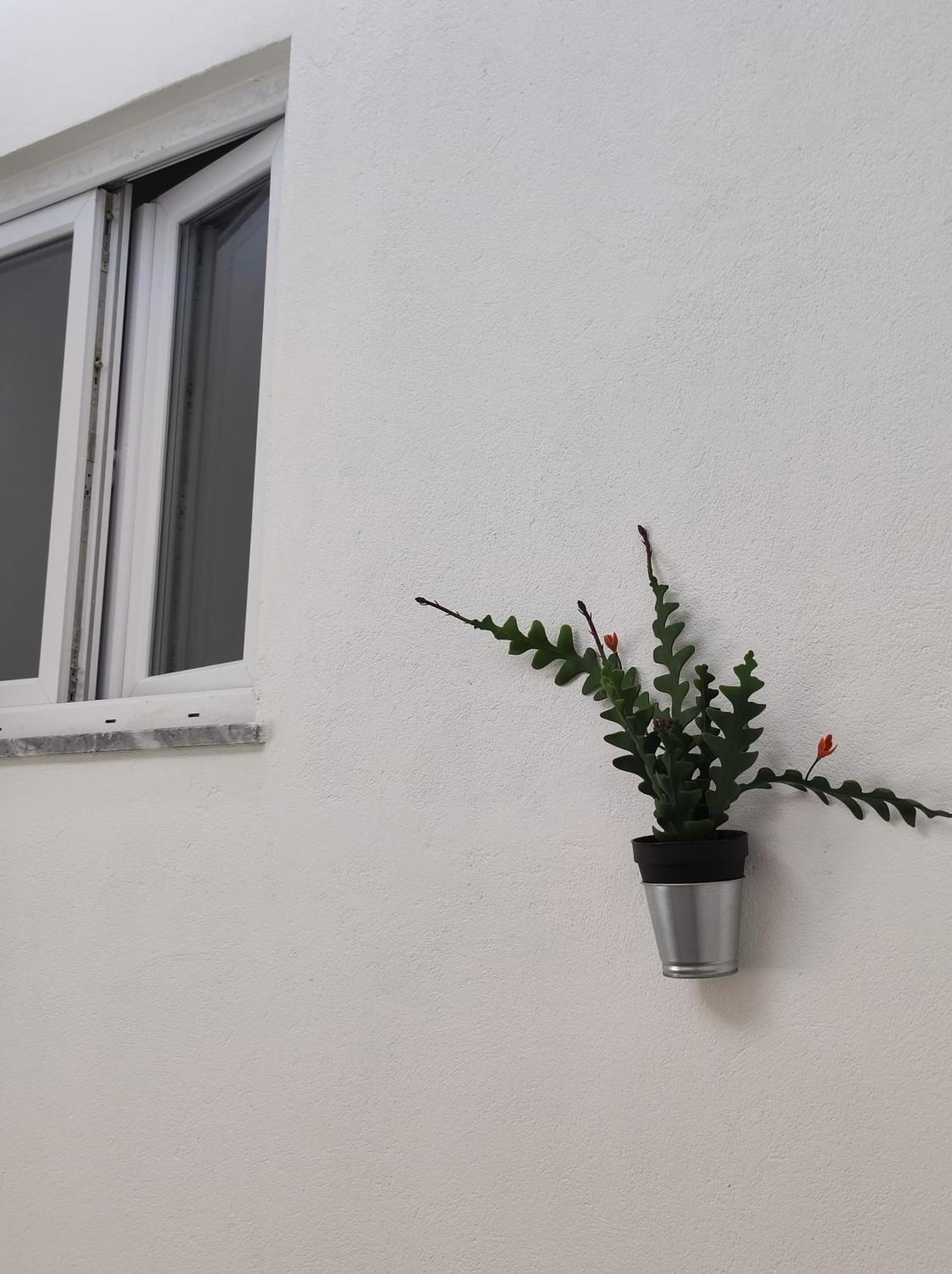 Divine Room 法鲁区 外观 照片
